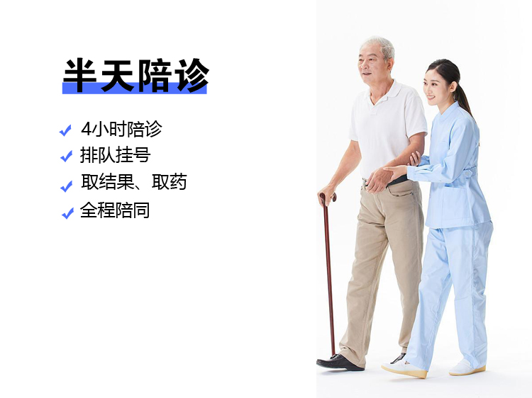 半天陪诊