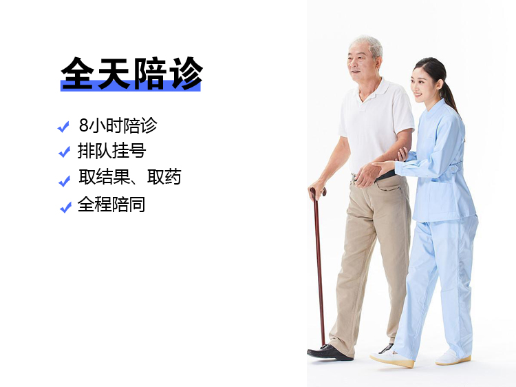 全天陪诊